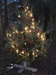 weihnacht 201953 weihnacht 201953