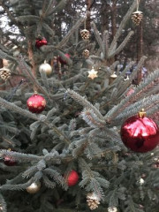 weihnacht 201990 weihnacht 201990