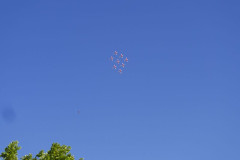 1220118 kl 1220118 kl