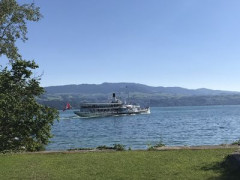 kulturtag 201980 kulturtag 201980